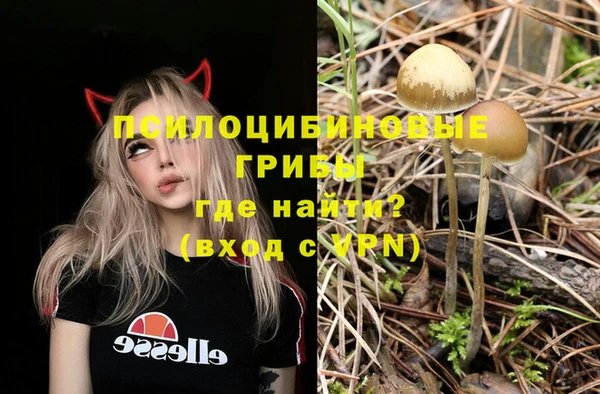 соль курить ск Семёнов
