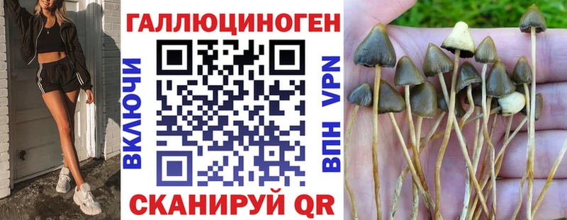 Купить закладки  Печоры  Псилоцибиновые грибы прущие грибы 